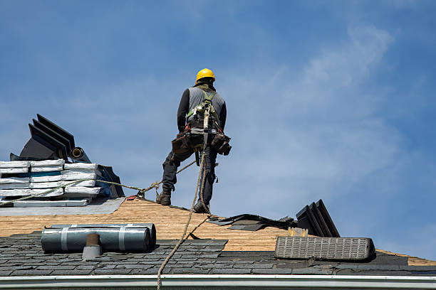 Professional Flat Roof Repair technician working in Pierce, CO
